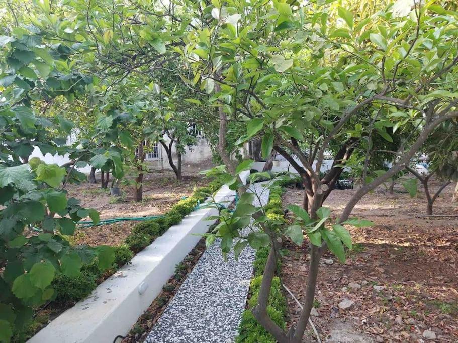 Mel'S Garden House In The Heart Of The City Bodrum Esterno foto